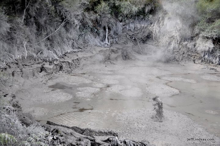 New Zealand: bubbling mud hole