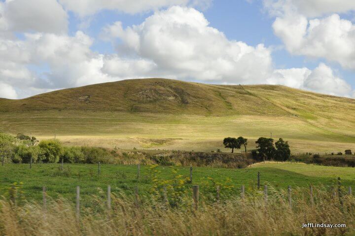 New Zealand: landscape