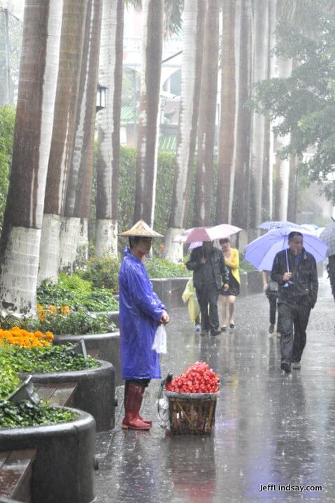 Xiamen, Fujian China, April 2013: brave fruit vendor on Gulangyu Island.