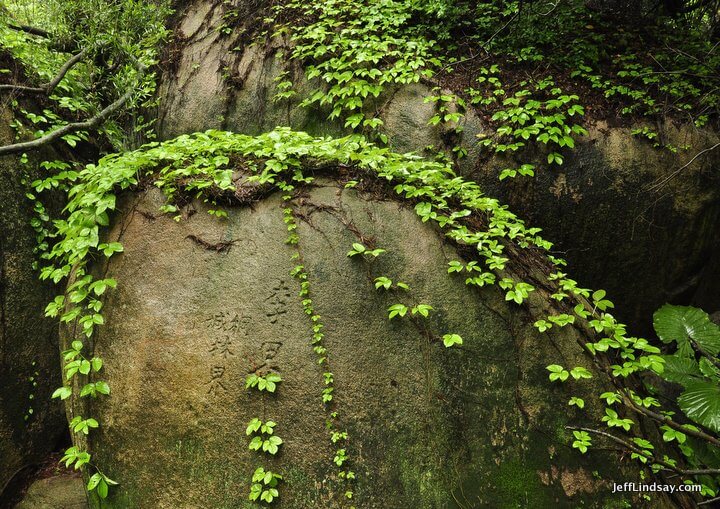 Xiamen, Fujian China, April 2013: ivy on a boulder